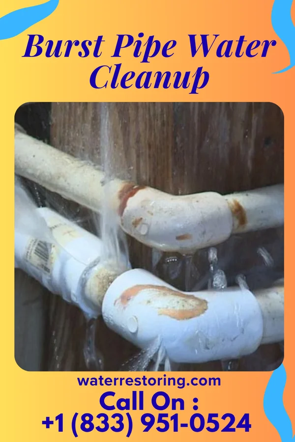 Burst Pipe Water Cleanup in New Brighton, MN