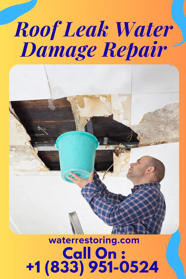 Roof Leak Water Damage Repair in New Brighton, MN